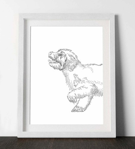 Cockapoo dog print - dog,