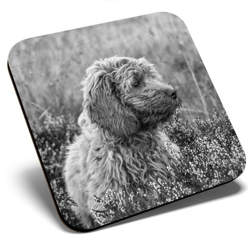 Square single coaster - square,