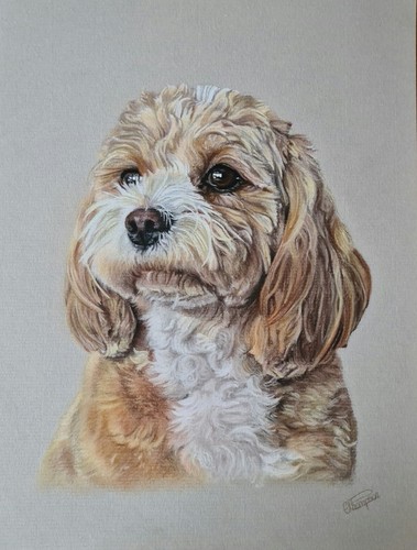 Hand drawn pet - hand,