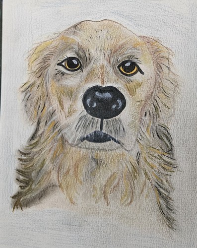 Hand drawn pet - hand, portrait