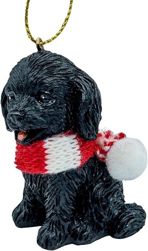 Black cockapoo puppy dog - black,
