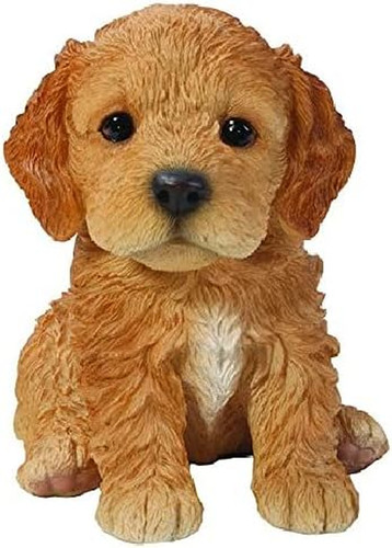 Gift ltd sitting cockapoo - ltd,