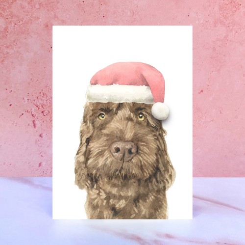 Single pom - single,