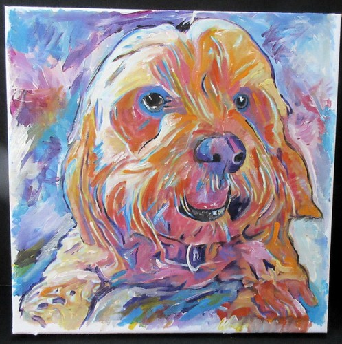 Cockapoo dog lying bed - dog,