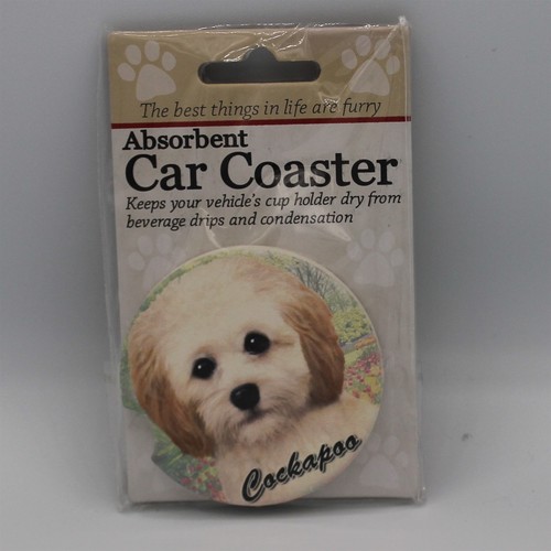 Super absorbent car - absorbent,