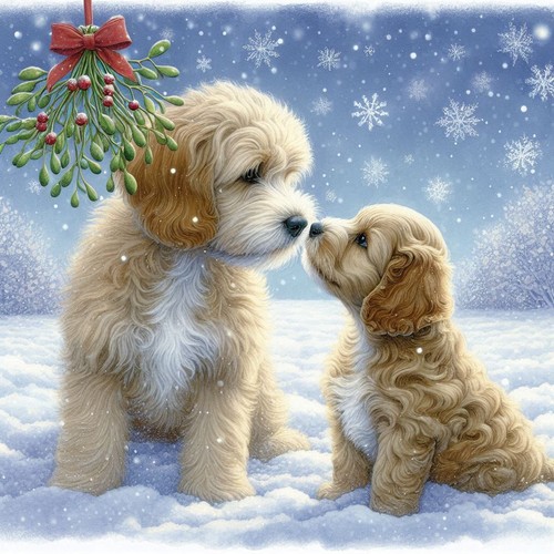 Single luxury cockapoo - single,