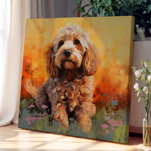 Cockapoo color field canvas - field,