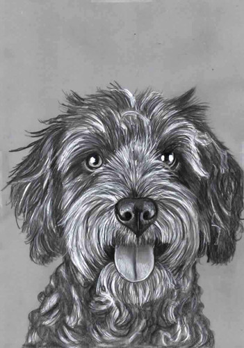 Original pencil drawing - original,