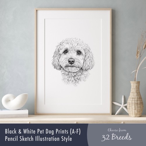 Black white dog - black, –