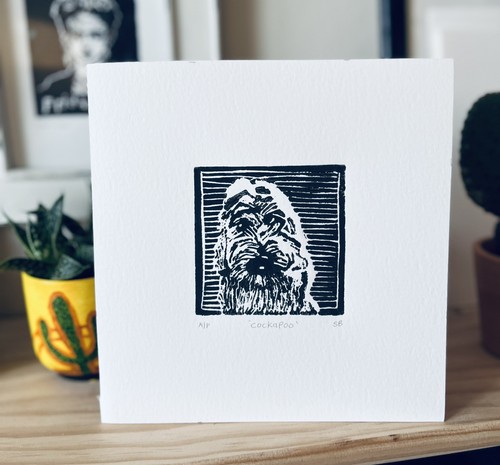 Cockapoo - .,