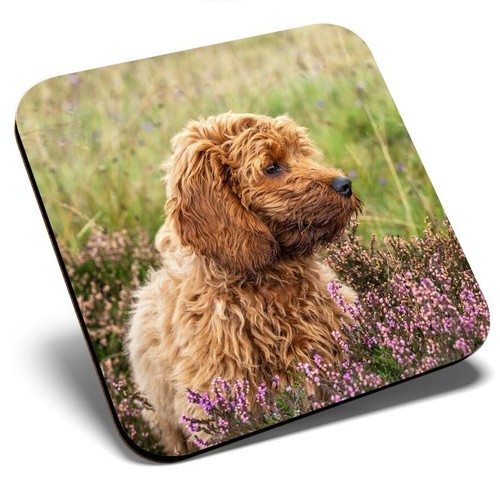 Square single coaster - square, fluffy
